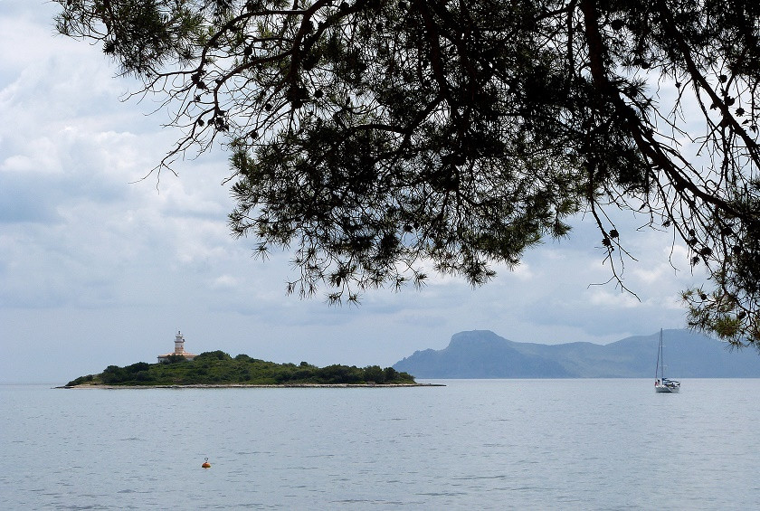 Inselchen vor Alcanada bei Alcudia / Mallorca