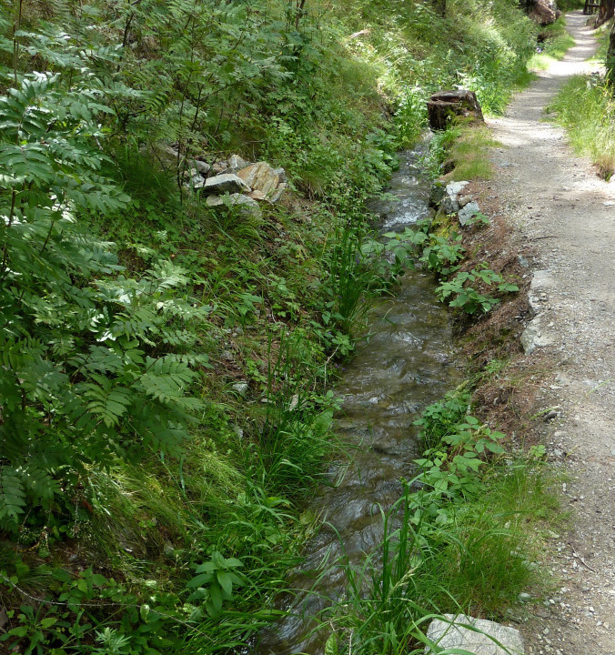 Burgeis nach Mals, Sonnensteig und Waalweg