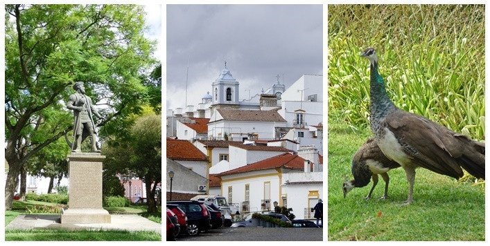 Jardim Público