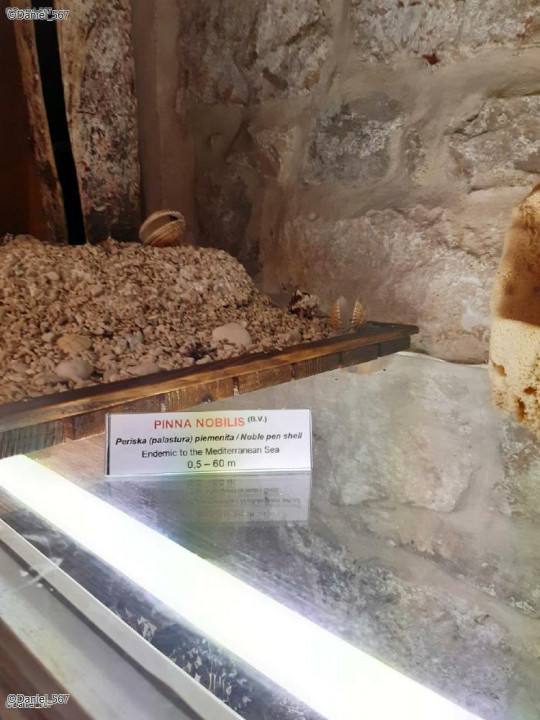 60_Baska Voda