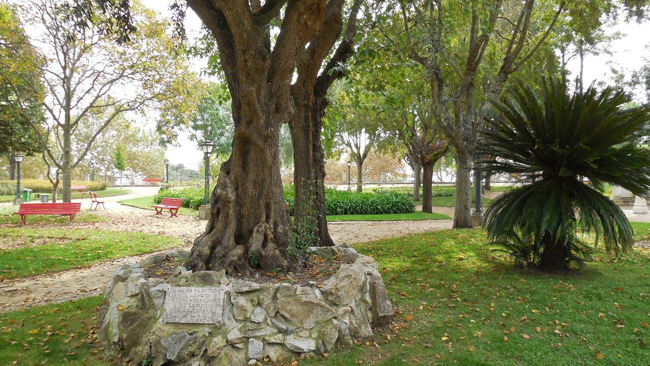 Évora 35