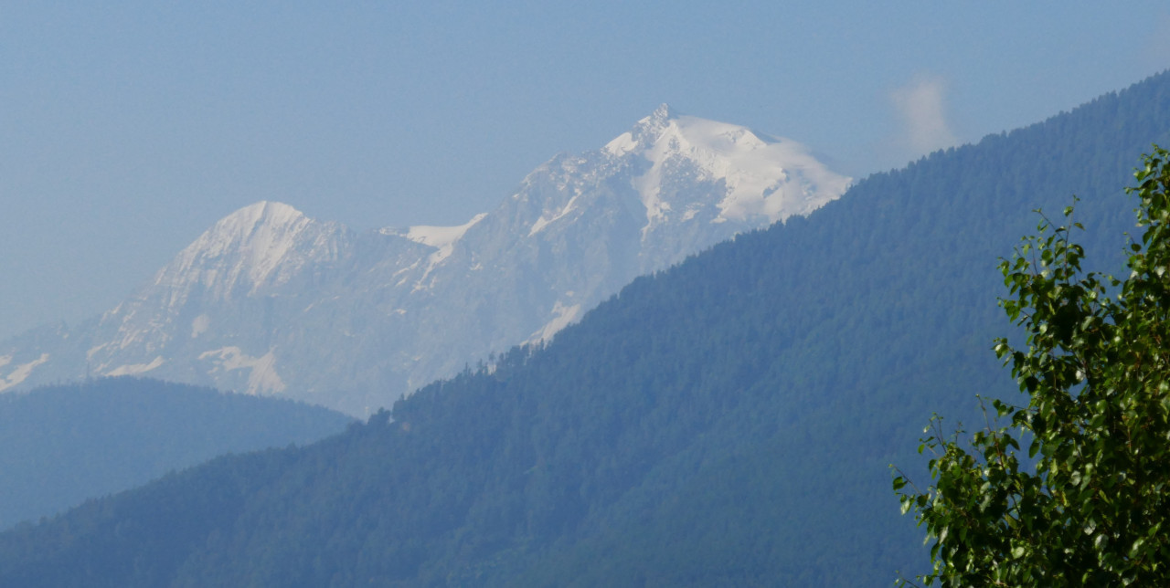 Ortlerblick