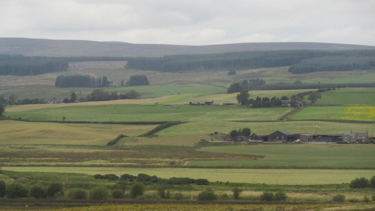 Schottland1_22