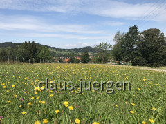 1F4668CE-6CE3-4CE9-934D-8DBA6BA7006A