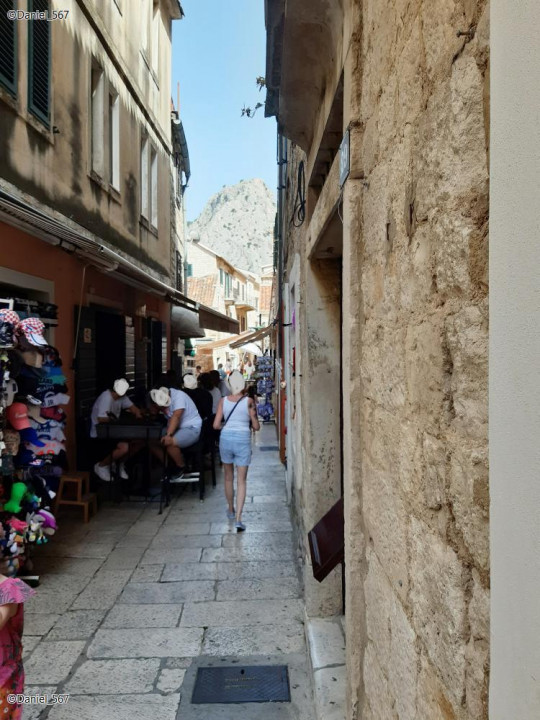03_Omis