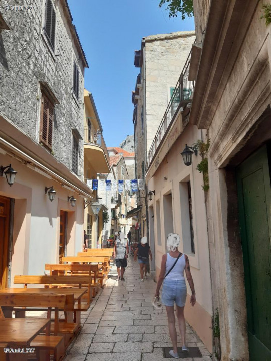 06_Omis