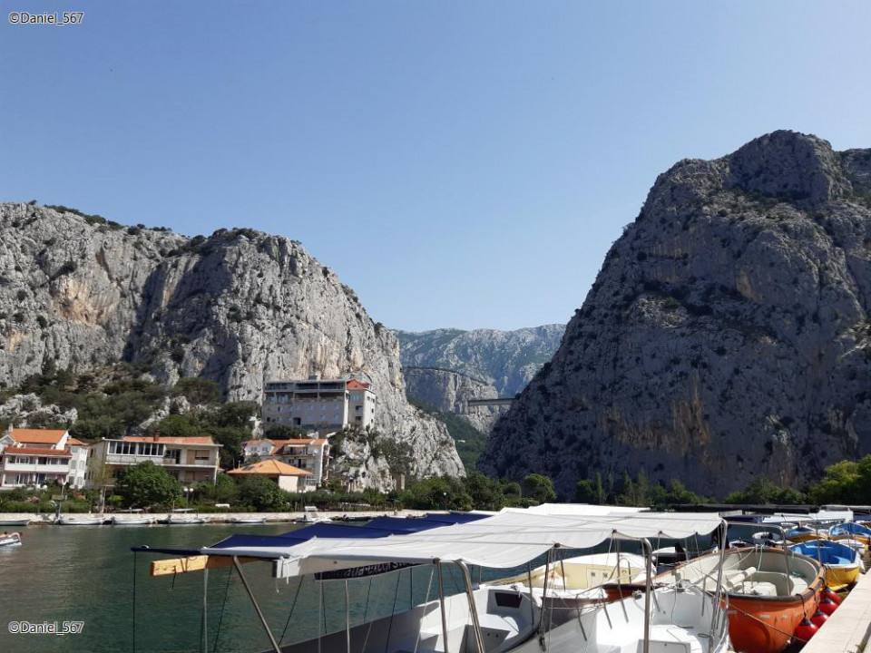 10_Omis