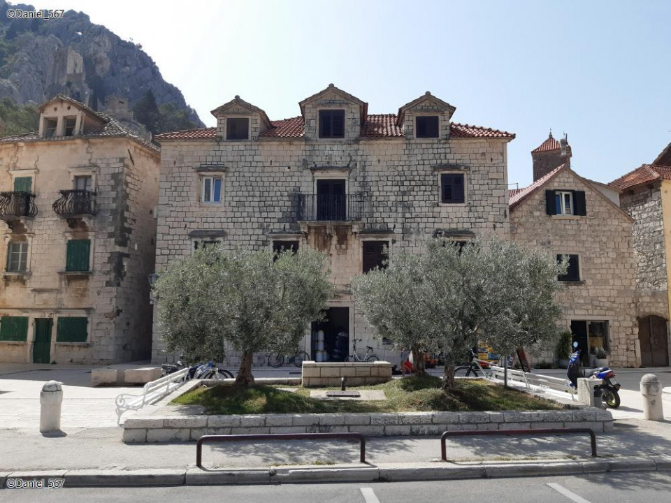11_Omis