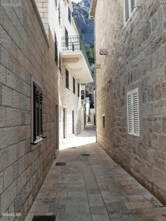 15_Omis