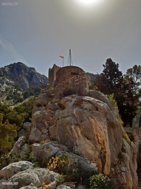 28_Omis