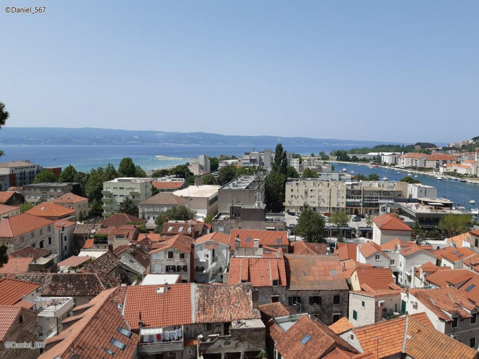 31_Omis