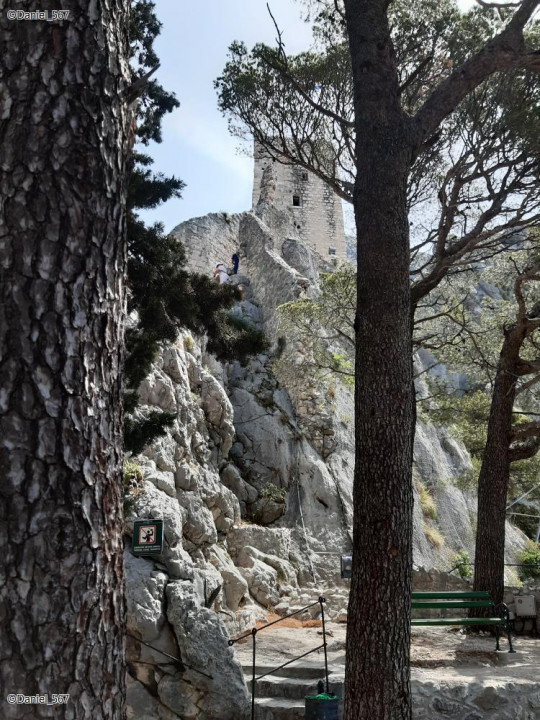 34_Omis