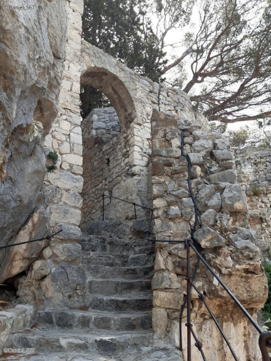 35_Omis