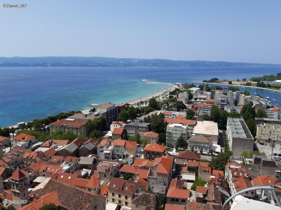 37_Omis