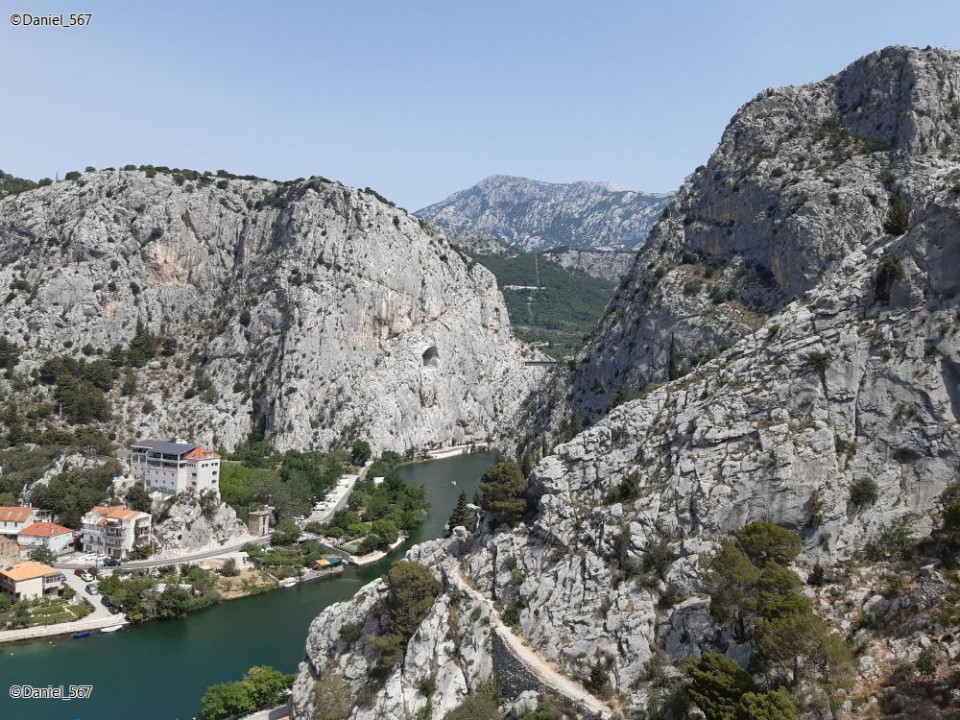 39_Omis