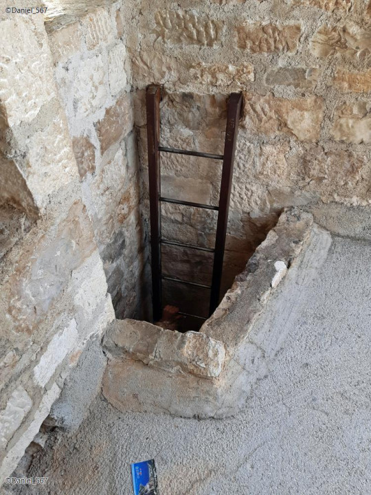 42_Omis