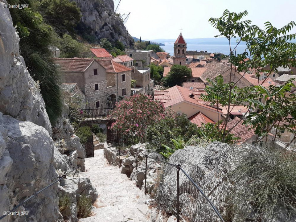49_Omis