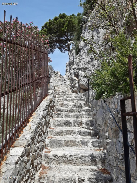 50_Omis
