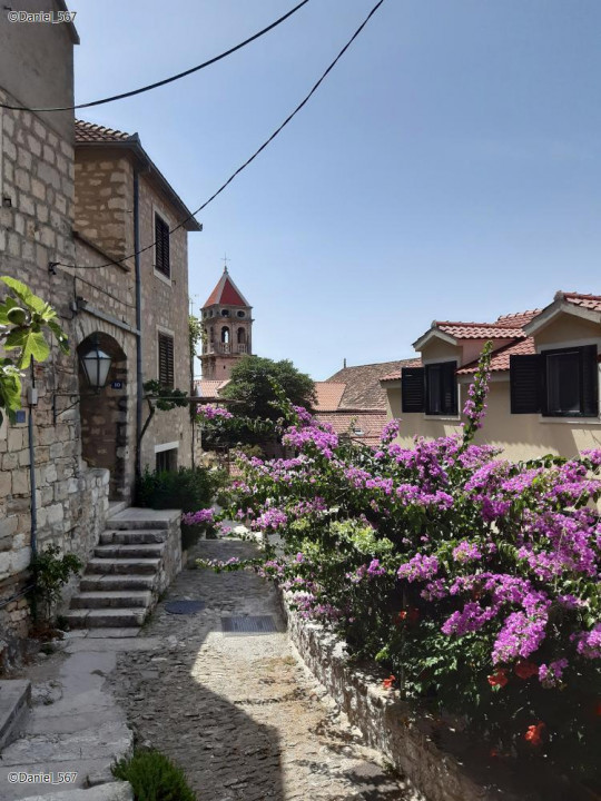 51_Omis