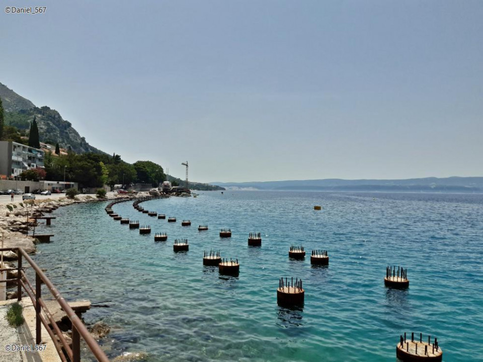 57_Omis