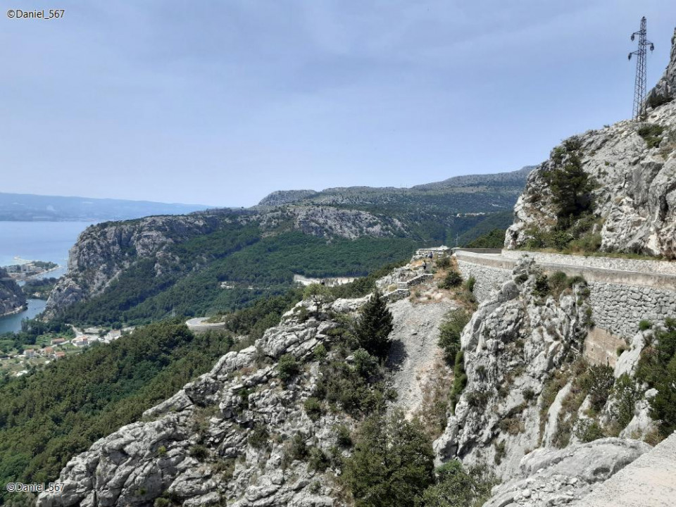 60_Omis