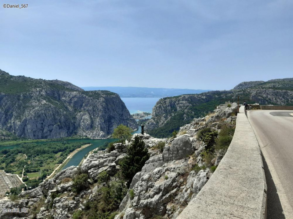 61_Omis