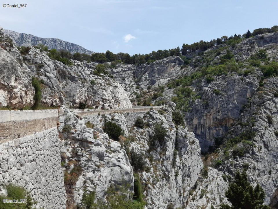 62_Omis