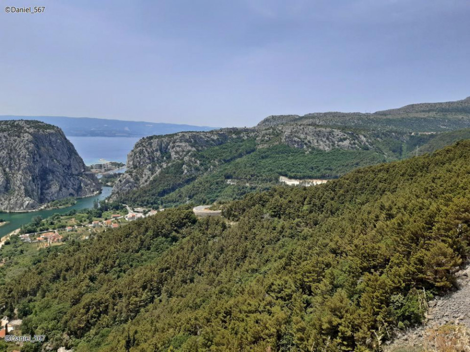 70_Omis