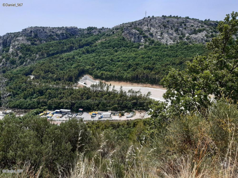 74_Omis