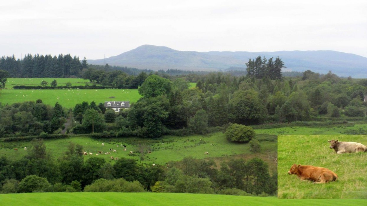 Schottland1_49