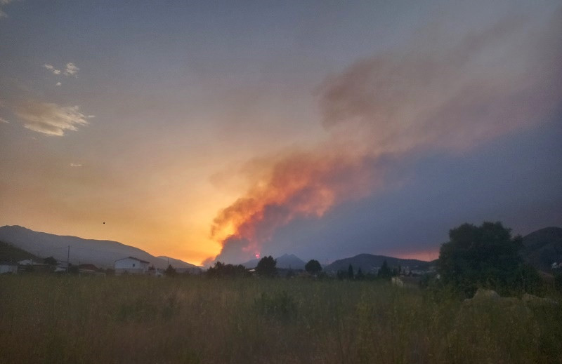 Waldbrand August 2022