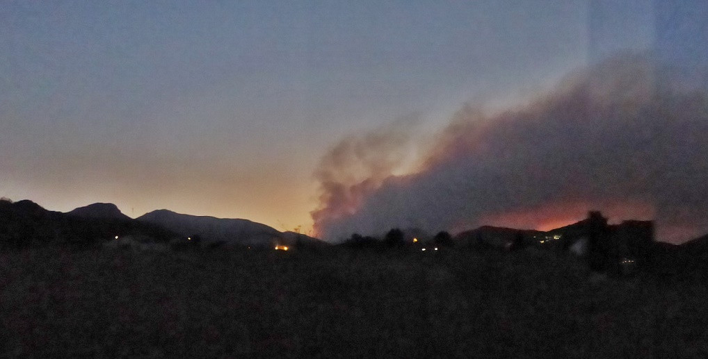 Waldbrand August 2022