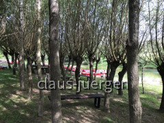 Zrmanja Bootstour (28)