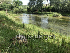 Zrmanja Bootstour (31)