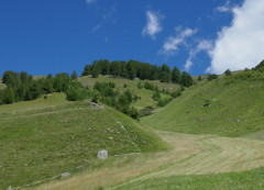 11.7.22 Planail (2)