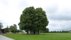 Sankt Johannes der Täufer