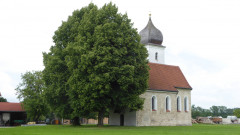 Sankt Johannes der Täufer