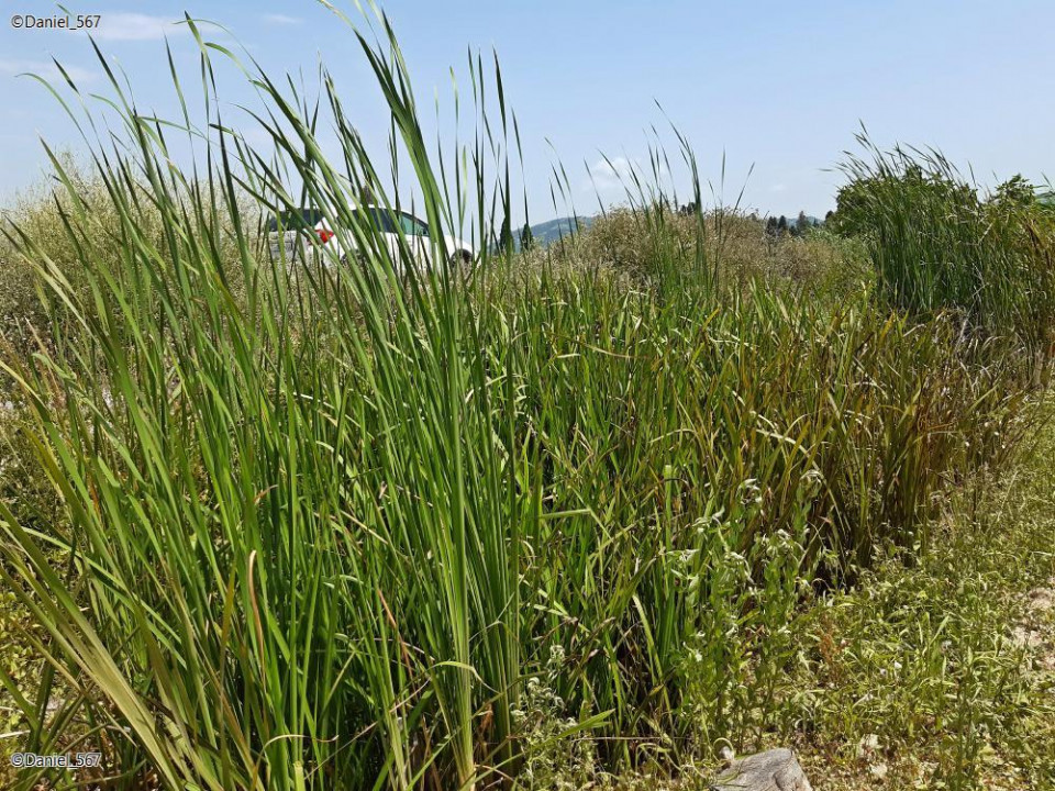 30_Neretva Delta