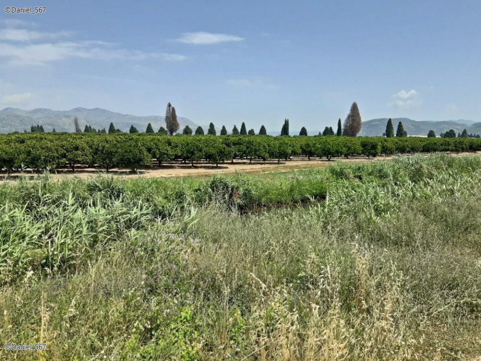 32_Neretva Delta