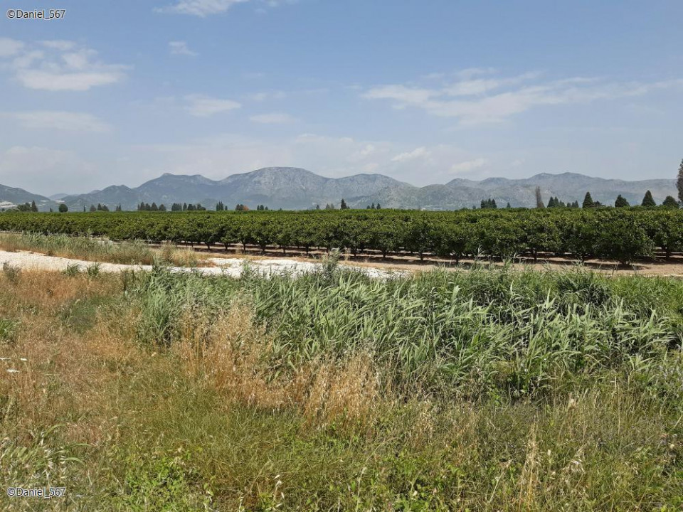 33_Neretva Delta
