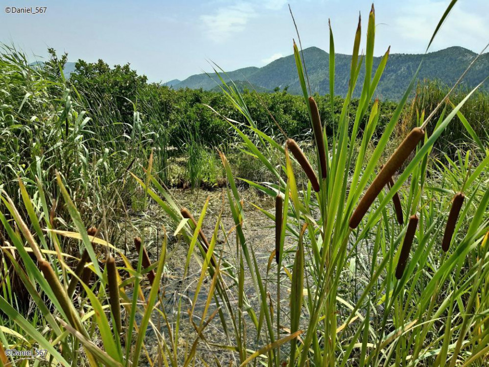 38_Neretva Delta