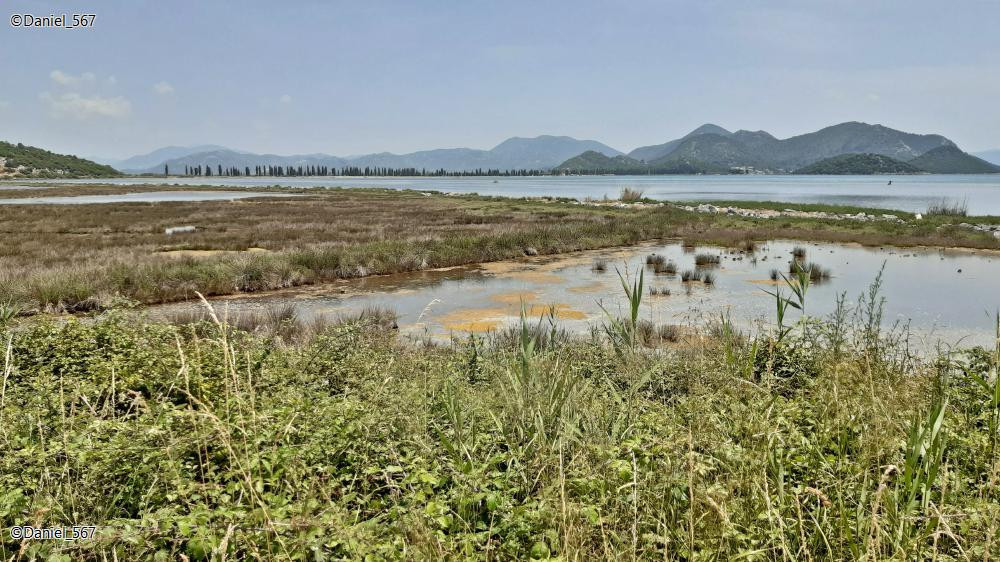 50_Neretva Delta