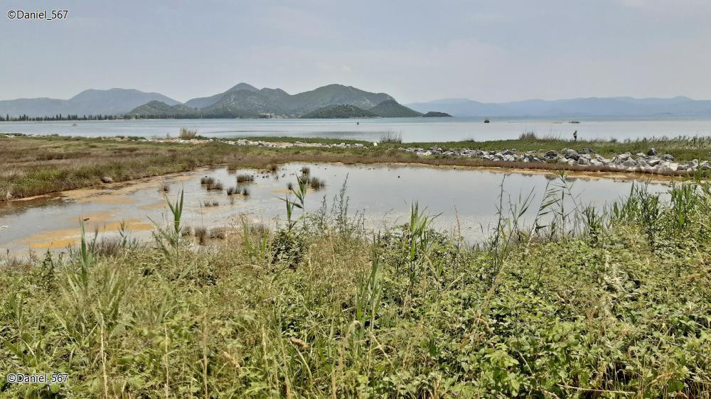 51_Neretva Delta