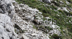 Das Sextental und seine Berge