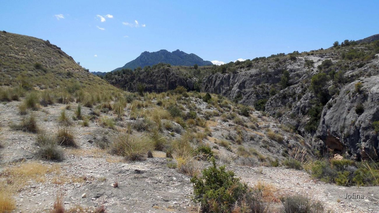 Almadenes Canyon 01