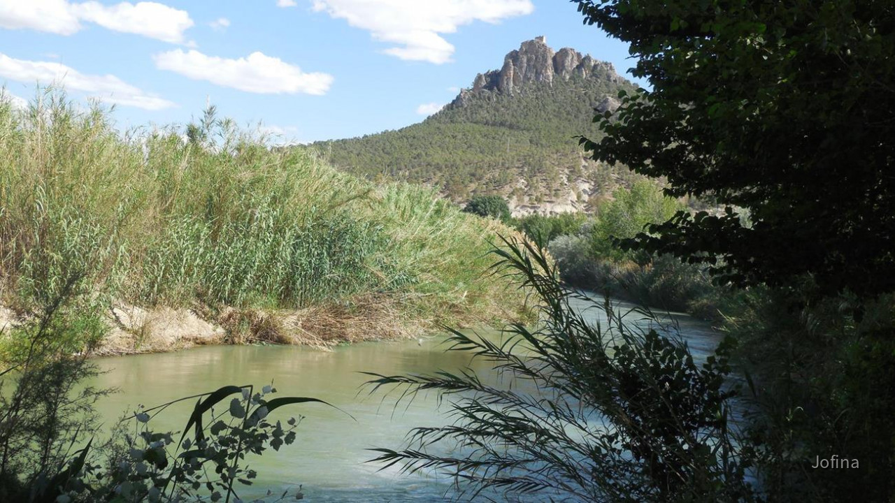 Río Segura