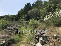 Preko Ugljan (8)