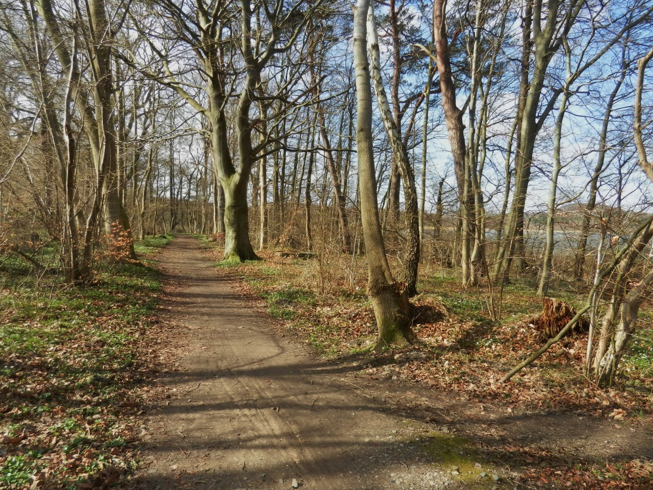 Radweg nach Granitz