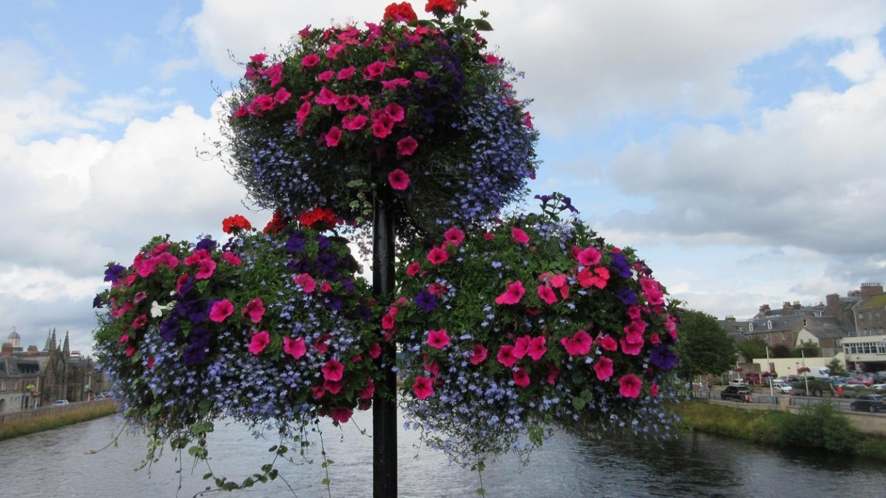 Schottland2_37