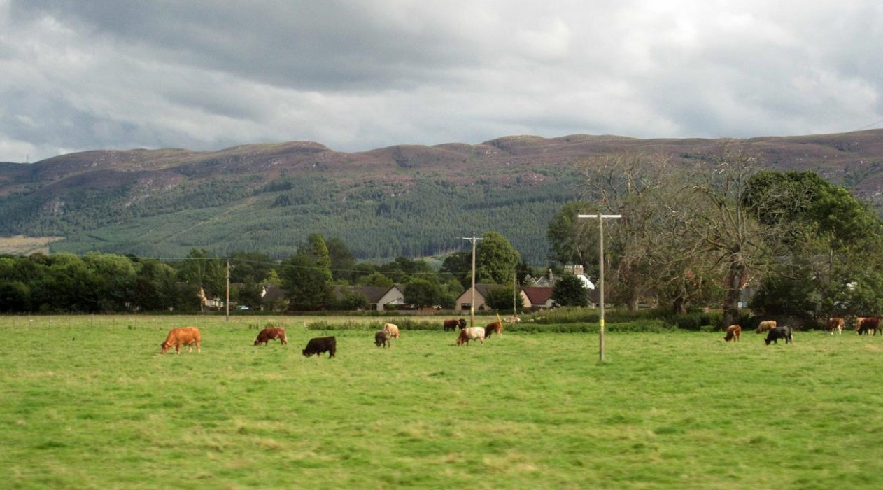 Schottland2_50